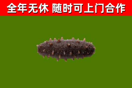 崇义县烟酒回收干海参.jpg